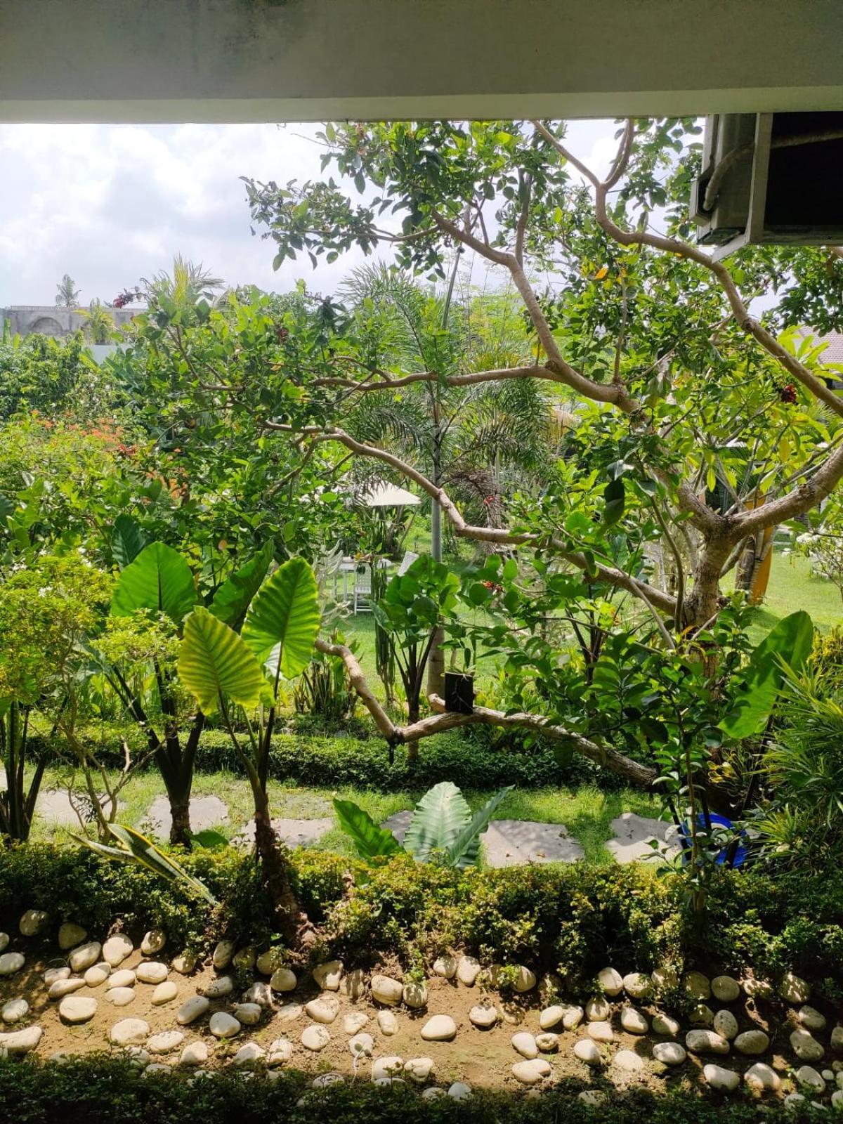 Villa Lotus 8 Canggu Eksteriør bilde