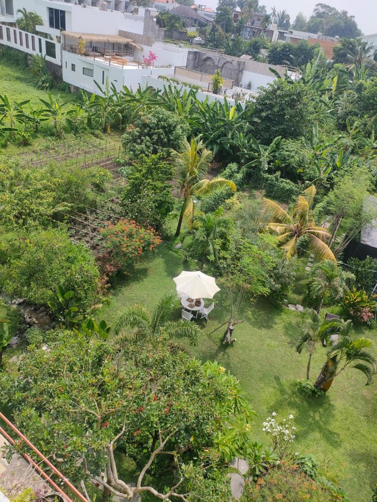 Villa Lotus 8 Canggu Eksteriør bilde