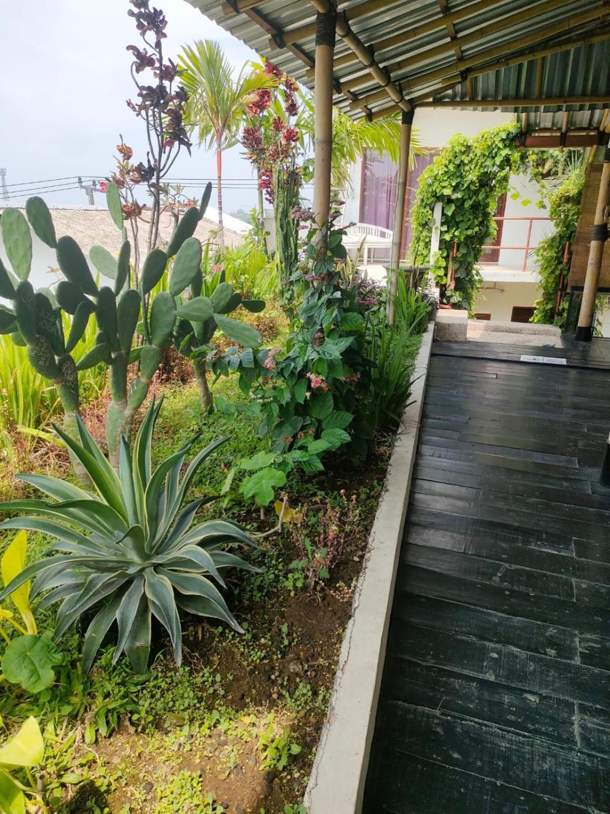 Villa Lotus 8 Canggu Eksteriør bilde