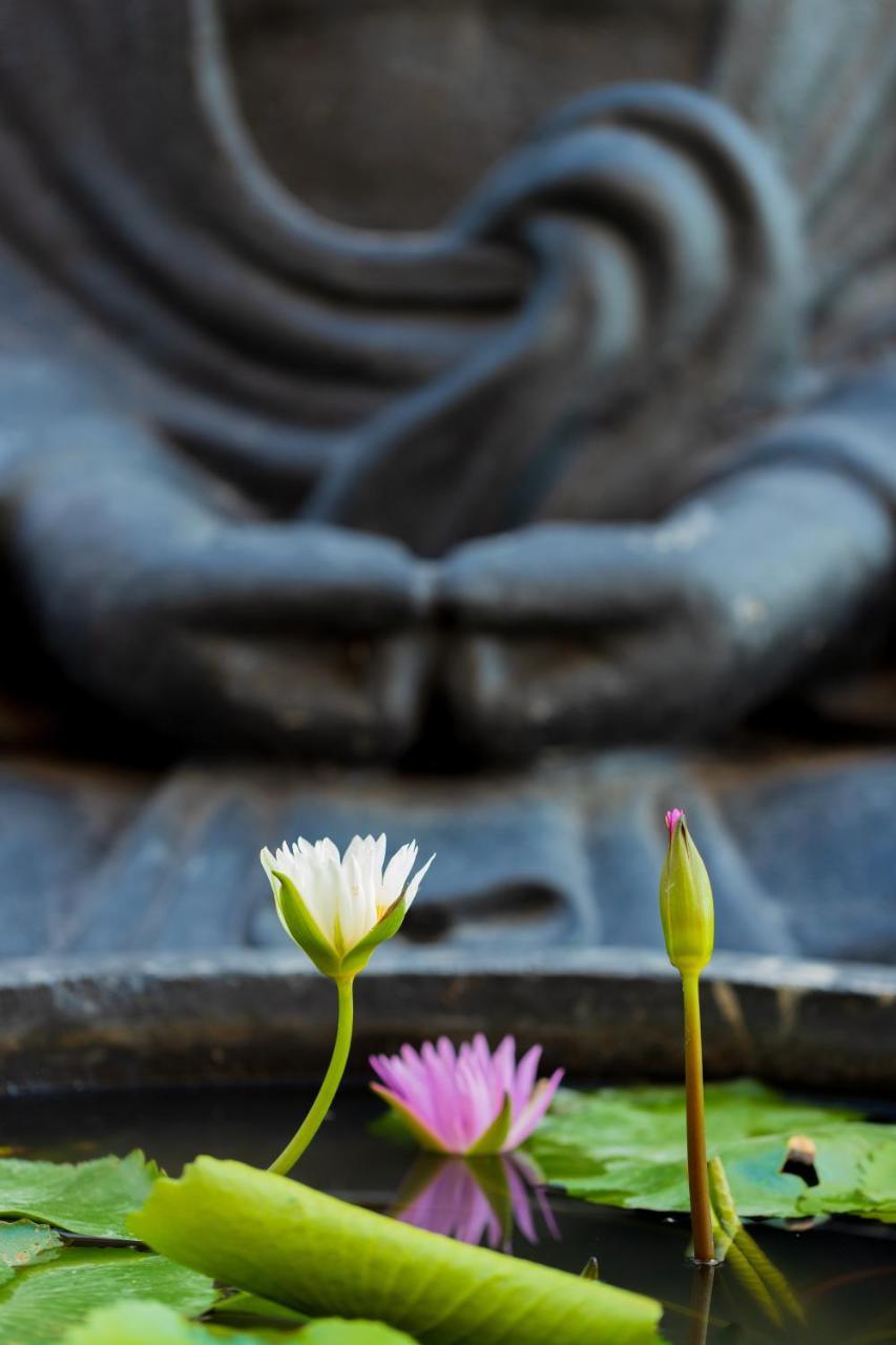 Villa Lotus 8 Canggu Eksteriør bilde