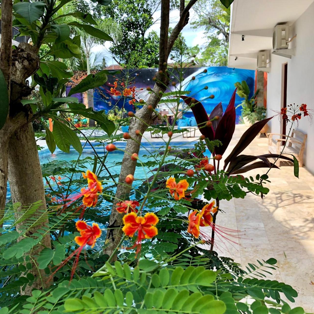 Villa Lotus 8 Canggu Eksteriør bilde